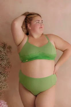 Amanda Basic Bra Small Cup - Forest Shade