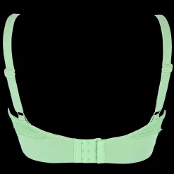 Amanda Basic Bra Small Cup - Forest Shade